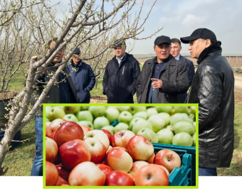 В кругу непаханых проблем. Посевная этого года в Казахстане идет трудно,