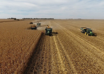 Казахстан: непаханое поле аграрных проблем