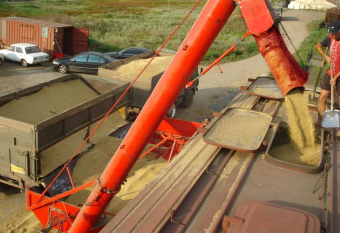 Российский запрет на экспорт зерна: кто против и почему?