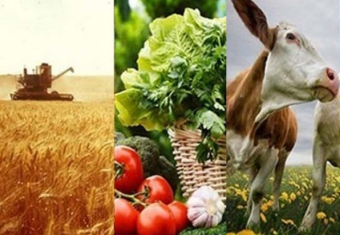 Двойной эффект: Киргизия и Казахстан будут развивать АПК совместно