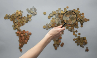 Иран предлагает ввести единую валюту в ШОС