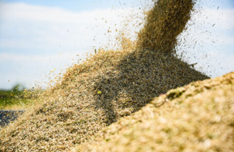 Голодные игры: Казахстан в зерновых раскладах