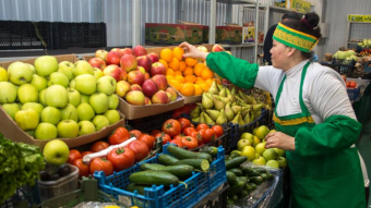 Привезти, а не вырастить. Почему Казахстан не может обеспечить себя продуктами