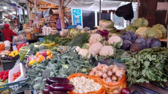 ПОЧЕМУ КЫРГЫЗСТАН НЕ МОЖЕТ ОБЕСПЕЧИТЬ СЕБЯ ПРОДОВОЛЬСТВИЕМ?