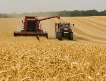 Сможет ли ЕАЭС обеспечить продовольственную безопасность в ЦА?