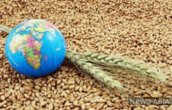 Возможен ли голод в Центральной Азии?