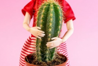 Не журналистика, а сплошной хромакей