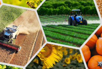 Агропром Казахстана – «луковое горе» страны