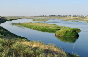 ПЕСОК НА ЗУБАХ: ЦЕНТРАЛЬНОЙ АЗИИ НУЖНО СОТРУДНИЧАТЬ, ЧТОБЫ РЕШИТЬ ВОДНУЮ ПРОБЛЕМУ