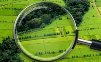 Земельная амнистия в КР: саботаж есть, а закона нет