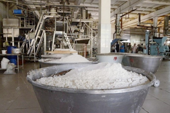 На границе Казахстана и Узбекистана возведут крупный мукомольный завод