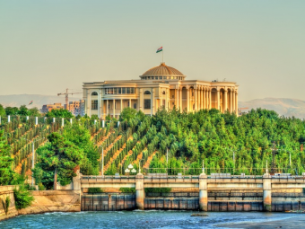 Цирк в джунглях. Как отжимают недвижимость в Душанбе