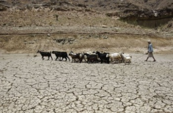 России предложили направить реки Сибири в Центральную Азию