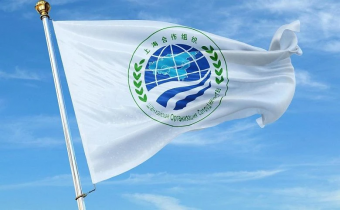 ШОС ВЫБЕРЕТ АНТИЗАПАДНЫЙ ВЕКТОР? 