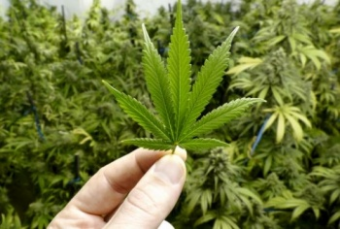  Чуйские планы пана Зеленского