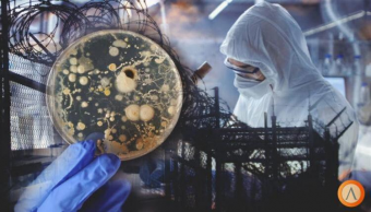 В Кыргызстане разработали закон о биобезопасности  