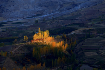 Цвет настроения – осень в Узбекистане: куда поехать и что посмотреть 