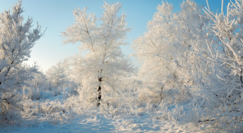 Казахские националисты хотят, чтобы Россия «завоевала» Экибастуз? 