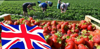 Работа для очередного переворота