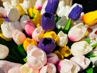 Центральная Азия. Новейшая история: главные события недели, 11 – 17 марта 2024