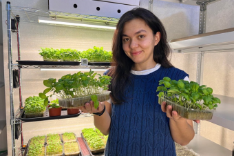 Микрозелень: что это, чем она полезна и кто ее выращивает в Таджикистане? 