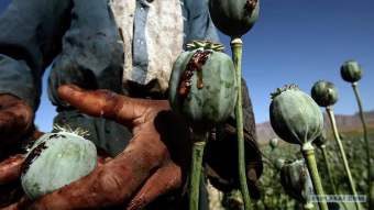 О маршрутах наркотранзита через страны Центральной Азии