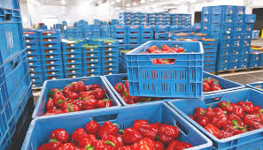 Что Таджикистан продает за рубеж?