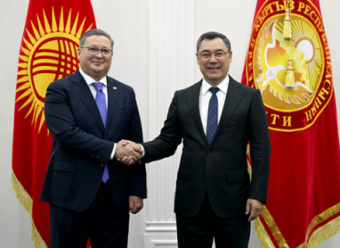 Киргизия и Узбекистан могут стать союзниками