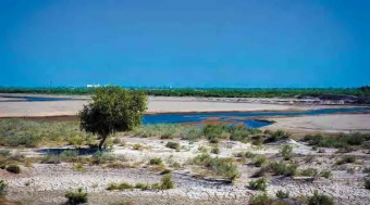 ШОС займется дефицитом воды в Центральной Азии