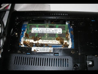 Кто и зачем натягивает украинскую сову на кыргызский глобус?