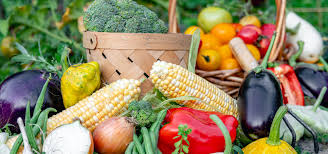 Сахарный рекорд: как Россия усиливает экспорт АПК в Казахстан