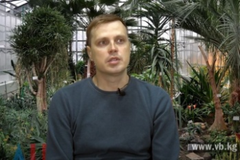 Где строить соцобъекты и зеленые зоны, если 60% Бишкека - частная земля?