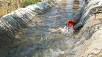 Дефицит воды в Узбекистане привел к падению выработки электроэнергии на ГЭС