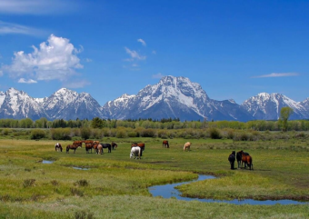 Власти Казахстана возвращают земли в госсобственность. Всегда ли оптимально?