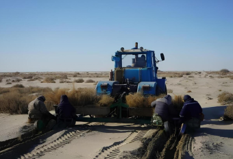 Проблему Арала решит не поворот сибирских рек, а наведение порядка в мелиорации