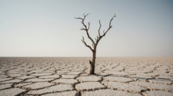 Дефицит воды в Центральной Азии стал жестким барьером для роста экономики